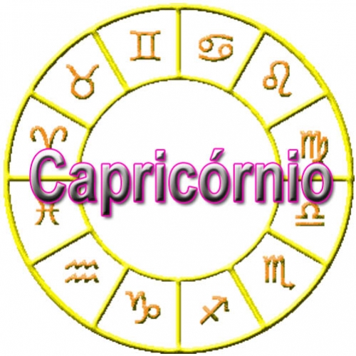 Características de Capricórnio